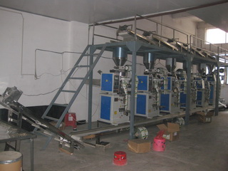 Seeds packaging production line